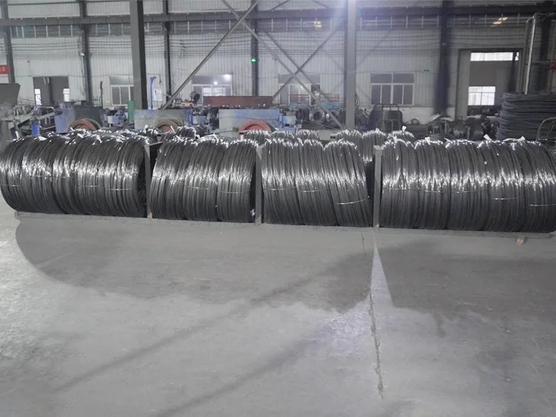 Filo di acciaio per molle ad alto tenore di carbonio da 45 a 80